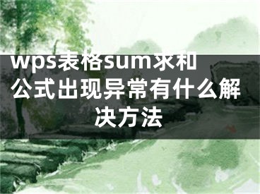 wps表格sum求和公式出现异常有什么解决方法