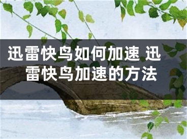 迅雷快鸟如何加速 迅雷快鸟加速的方法