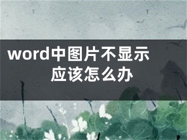 word中图片不显示应该怎么办