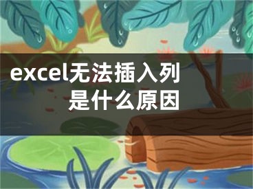 excel无法插入列是什么原因