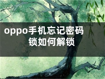 oppo手机忘记密码锁如何解锁