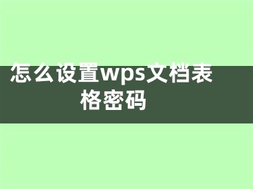怎么设置wps文档表格密码 