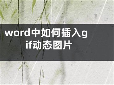 word中如何插入gif动态图片