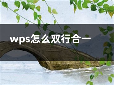 wps怎么双行合一