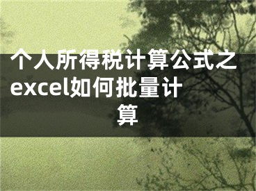 个人所得税计算公式之excel如何批量计算