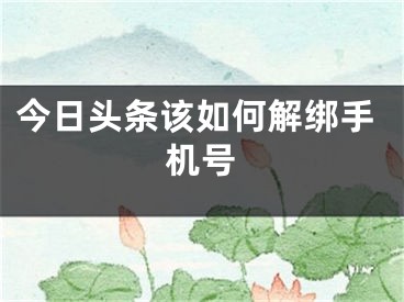 今日头条该如何解绑手机号 