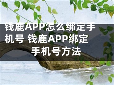 钱鹿APP怎么绑定手机号 钱鹿APP绑定手机号方法