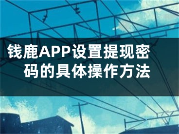 钱鹿APP设置提现密码的具体操作方法