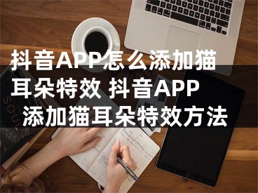 抖音APP怎么添加猫耳朵特效 抖音APP添加猫耳朵特效方法