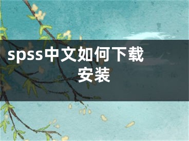 spss中文如何下载安装