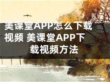 美课堂APP怎么下载视频 美课堂APP下载视频方法