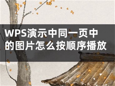 WPS演示中同一页中的图片怎么按顺序播放