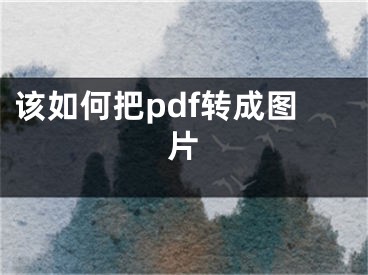 该如何把pdf转成图片