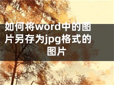 如何将word中的图片另存为jpg格式的图片