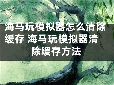海马玩模拟器怎么清除缓存 海马玩模拟器清除缓存方法