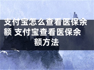 支付宝怎么查看医保余额 支付宝查看医保余额方法