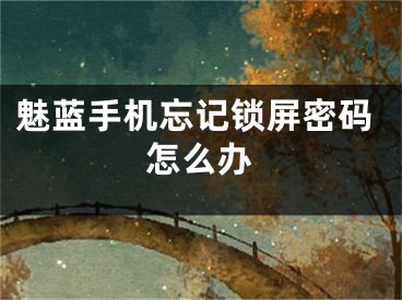 魅蓝手机忘记锁屏密码怎么办