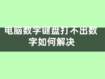 电脑数字键盘打不出数字如何解决