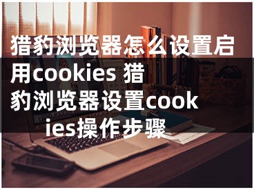 猎豹浏览器怎么设置启用cookies 猎豹浏览器设置cookies操作步骤