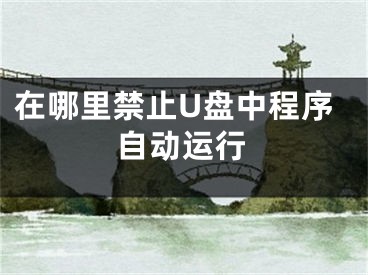 在哪里禁止U盘中程序自动运行