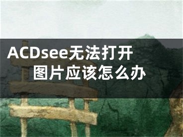 ACDsee无法打开图片应该怎么办