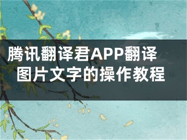 腾讯翻译君APP翻译图片文字的操作教程