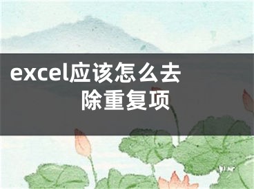 excel应该怎么去除重复项