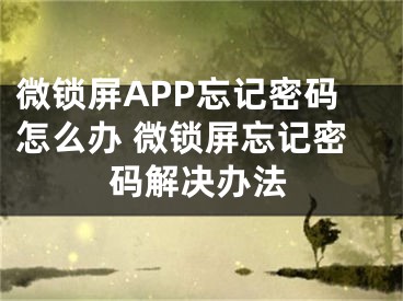 微锁屏APP忘记密码怎么办 微锁屏忘记密码解决办法