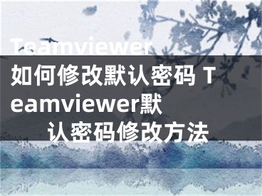 Teamviewer如何修改默认密码 Teamviewer默认密码修改方法