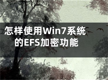 怎样使用Win7系统的EFS加密功能