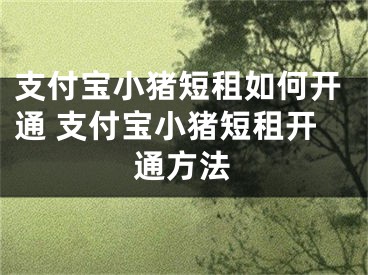 支付宝小猪短租如何开通 支付宝小猪短租开通方法