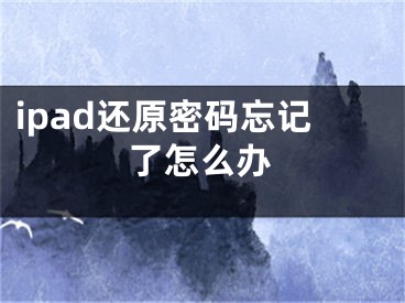 ipad还原密码忘记了怎么办