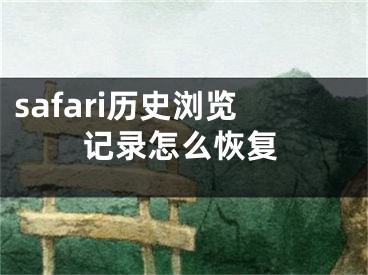 safari历史浏览记录怎么恢复