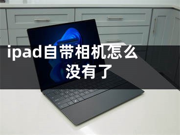 ipad自带相机怎么没有了