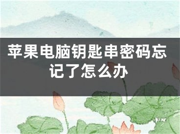 苹果电脑钥匙串密码忘记了怎么办