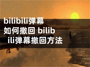 bilibili弹幕如何撤回 bilibili弹幕撤回方法