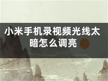 小米手机录视频光线太暗怎么调亮
