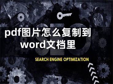 pdf图片怎么复制到word文档里