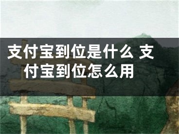 支付宝到位是什么 支付宝到位怎么用 