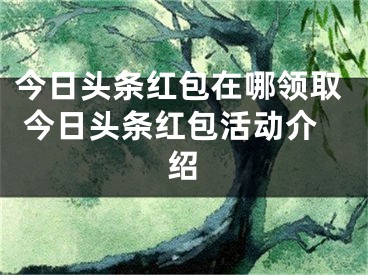 今日头条红包在哪领取 今日头条红包活动介绍