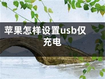 苹果怎样设置usb仅充电