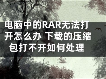 电脑中的RAR无法打开怎么办 下载的压缩包打不开如何处理 