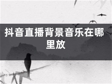 抖音直播背景音乐在哪里放