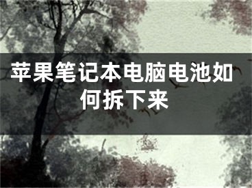 苹果笔记本电脑电池如何拆下来