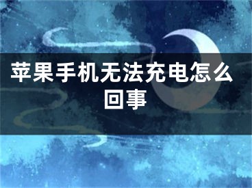 苹果手机无法充电怎么回事