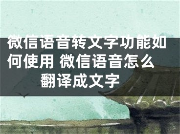 微信语音转文字功能如何使用 微信语音怎么翻译成文字 