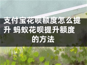 支付宝花呗额度怎么提升 蚂蚁花呗提升额度的方法