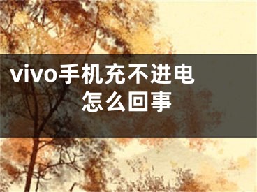 vivo手机充不进电怎么回事