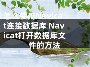 怎么使用Navicat连接数据库 Navicat打开数据库文件的方法