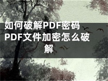 如何破解PDF密码 PDF文件加密怎么破解 